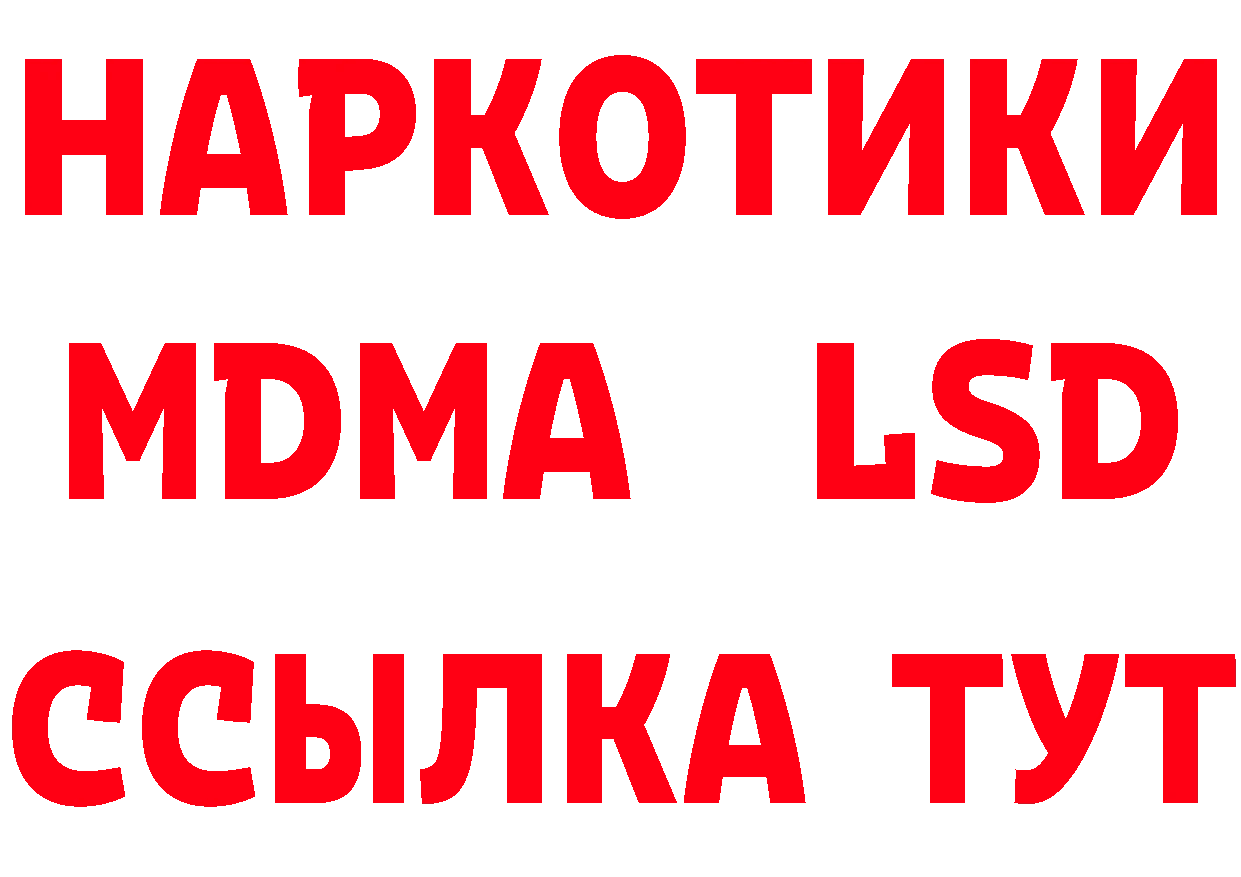 Где продают наркотики? площадка Telegram Каргополь