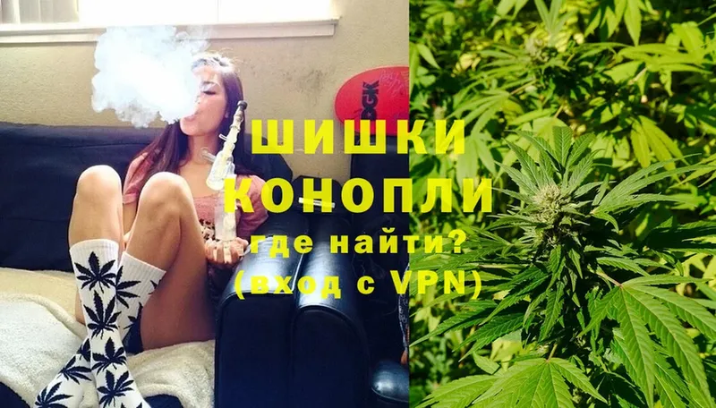 закладка  Каргополь  Канабис White Widow 